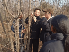 由邯郸职业手艺学院大学生团队参取研发的“果